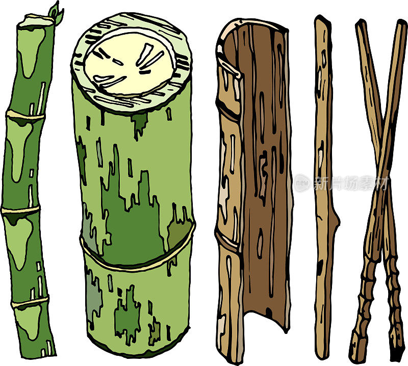 白色背景上的竹子插画。竹子，天然家养和野生植物，竹棒，随时可用，eps。为你设计