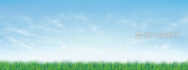 清新的春天绿草在美丽的蓝天下。自然背景，绿色的草和蓝色的天空。矢量插图。