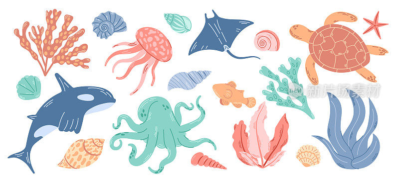 海洋动物和水生植物的类群。水下居民就位。现代手绘平面插图在白色背景。