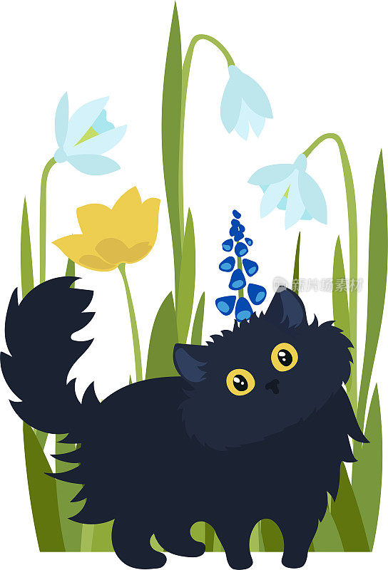 黑猫的背景上的春花矢量