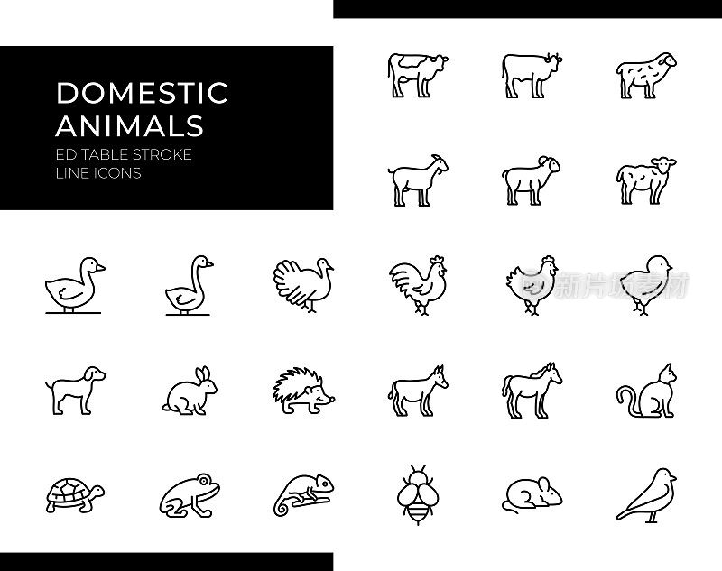 家畜图标-线条系列-可编辑笔画