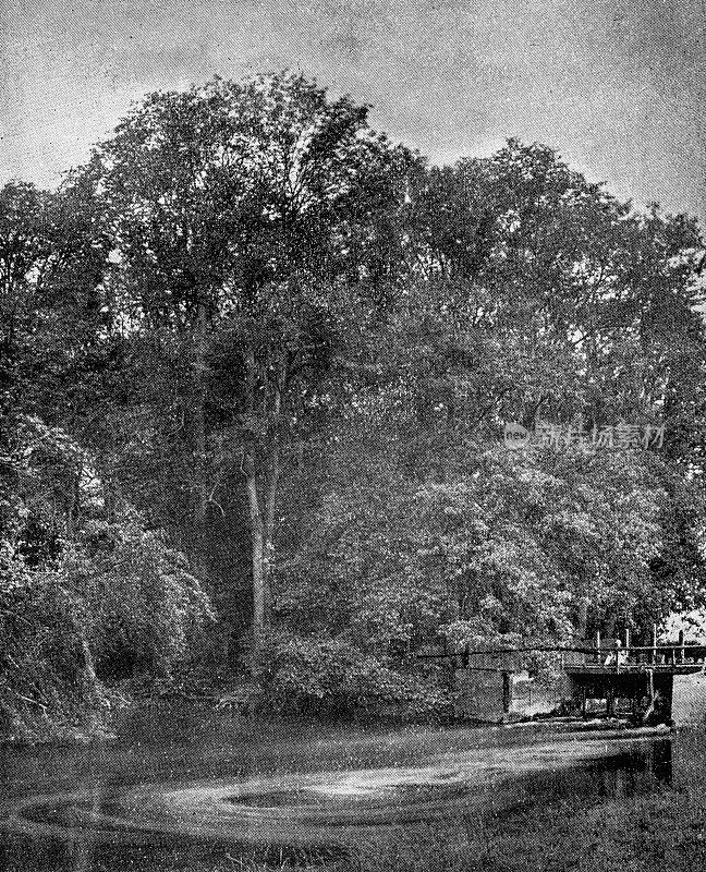 1889年的运动和消遣:卡姆河，拜伦池
