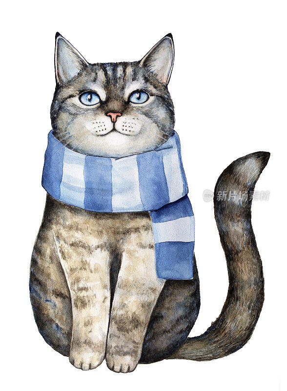 可爱的灰虎斑猫，穿着蓝色的纺织条纹针织围巾，坐着抬头，笑着乐在其中，梦想着。