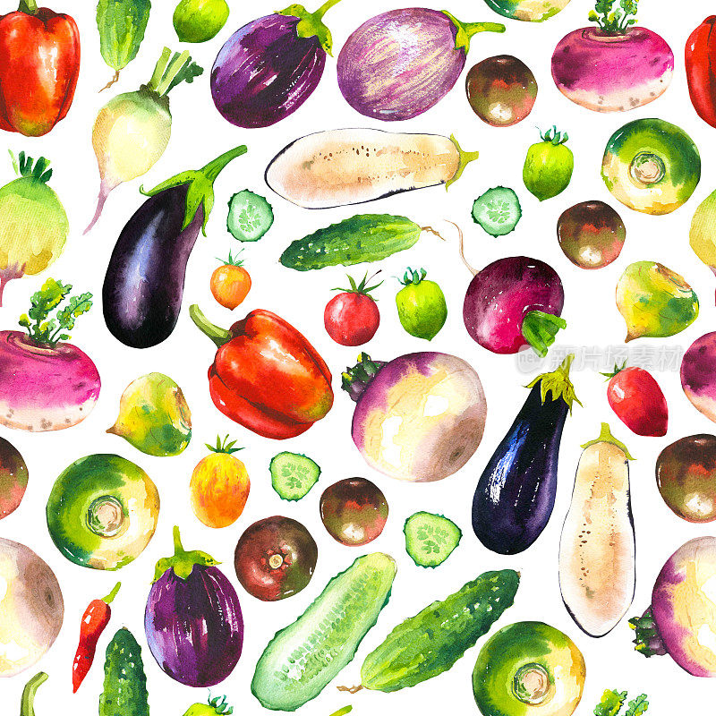 水彩插图与组成农场种植的插图。无缝模式上的白色背景。蔬菜套装:辣椒，黄瓜，萝卜，萝卜，茄子，西红柿。新鲜的有机食品