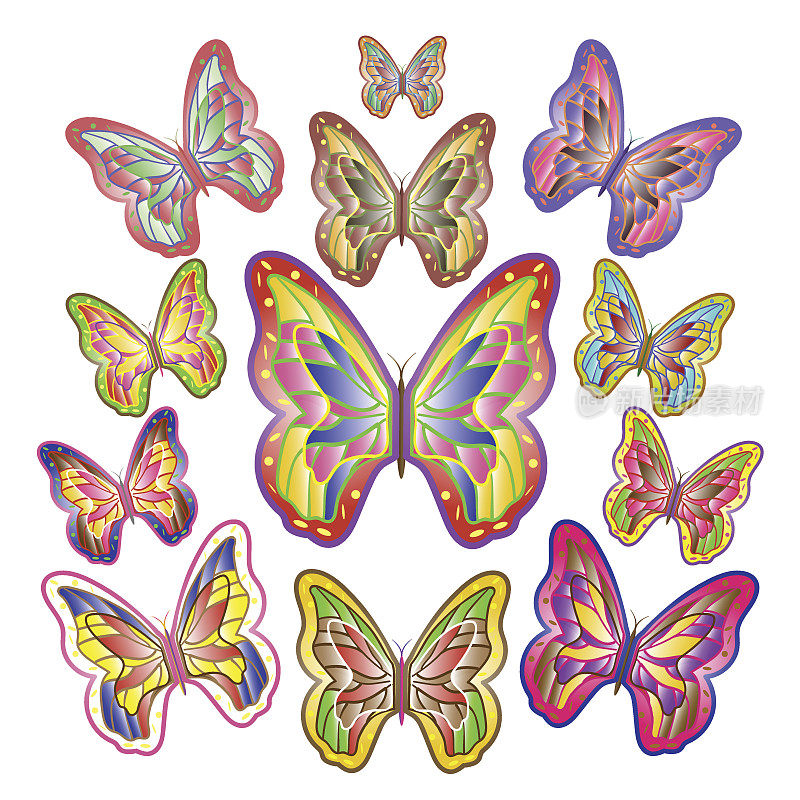 十二只色彩鲜艳的蝴蝶