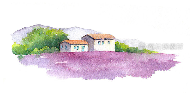 法国普罗旺斯的薰衣草田和乡村房屋。水彩