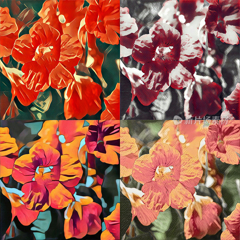色彩缤纷的花朵、poliptych