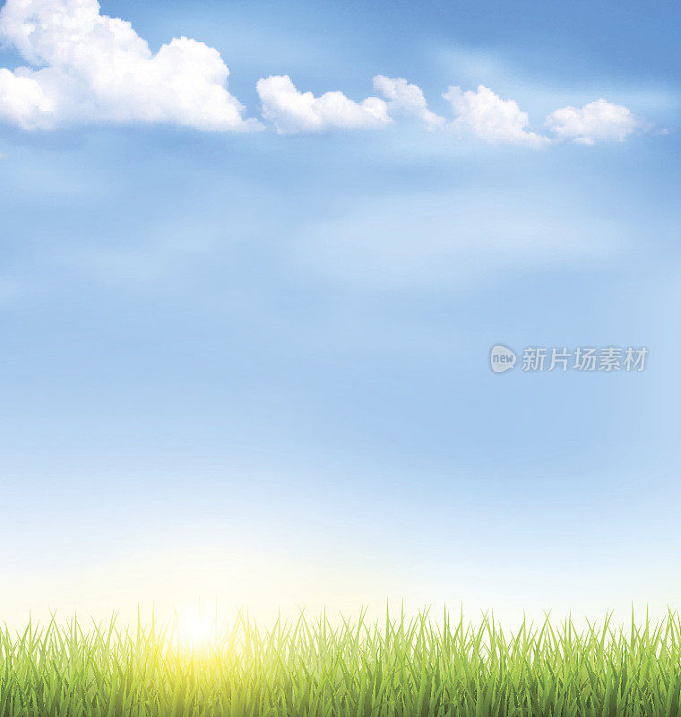 草地草地，云朵和蓝天上的太阳