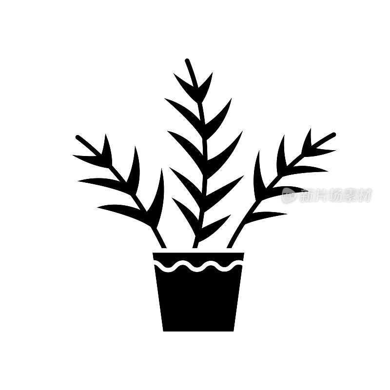客厅棕黑色象形图标。Chamaedorea线虫。Neanthe贝拉棕榈。威严的手掌。室内热带植物。绿叶装饰室内植物。白色空间上的剪影符号。向量孤立的插图