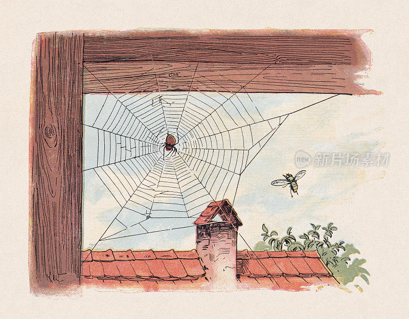 《蜘蛛与苍蝇》，彩色木版画，出版于1897年