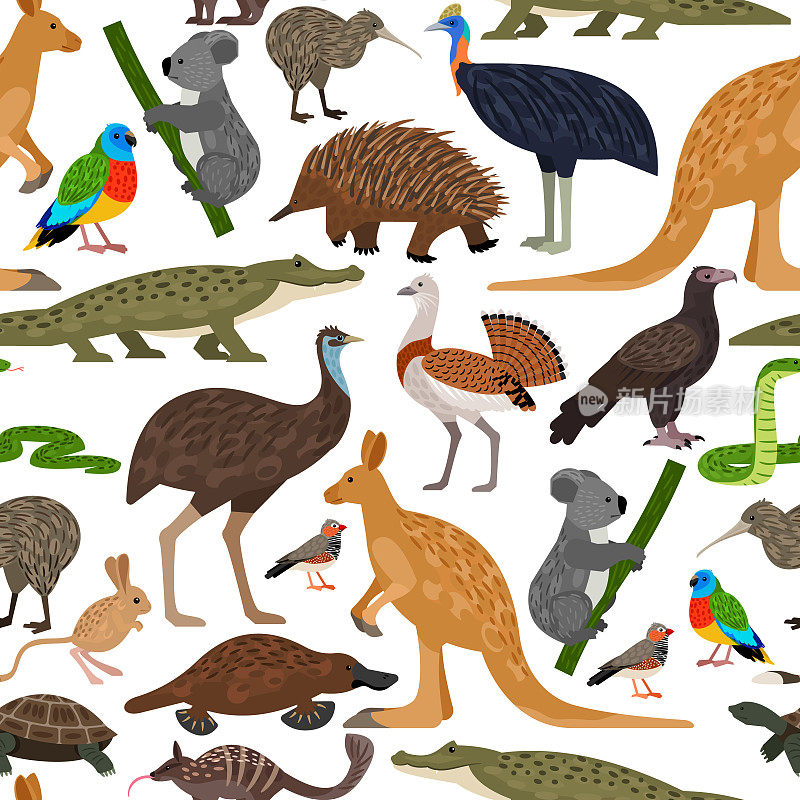澳大利亚野生动物可爱无缝矢量图案