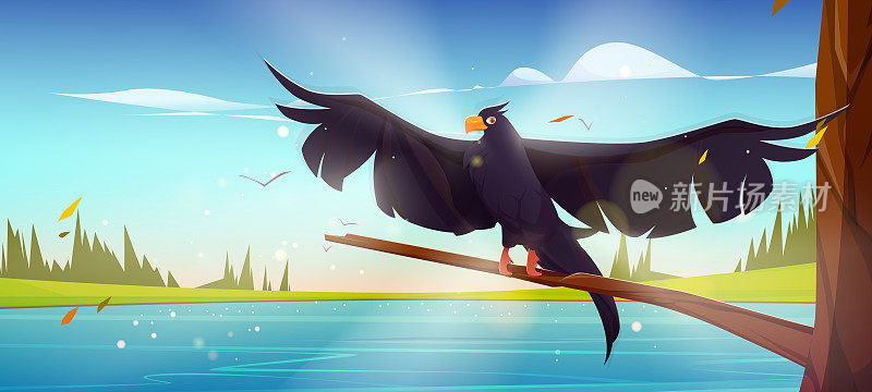 黑乌鸦在夏日的河边森林里飞翔