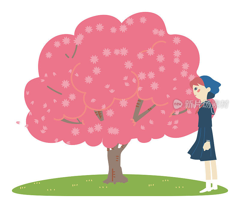 女学生穿着水手服站在樱桃树下插画素材