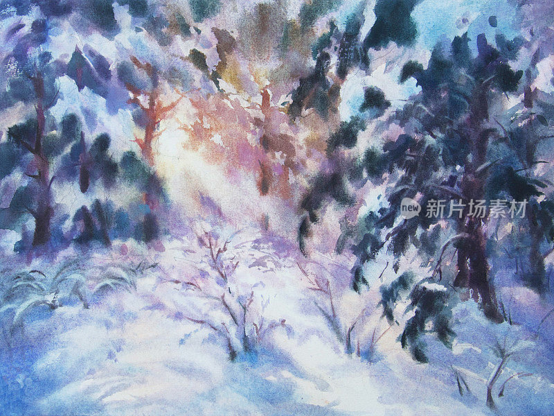 雪林夕阳水彩画。冬季山水画有松树、雪原、阳光透过树木、阴影和明亮的天空。