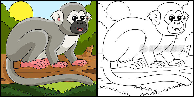 松鼠猴动物着色页插图