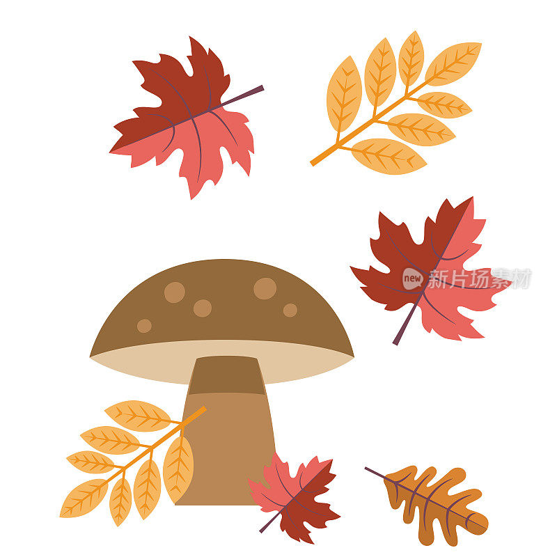 蘑菇秋天和秋天元素
