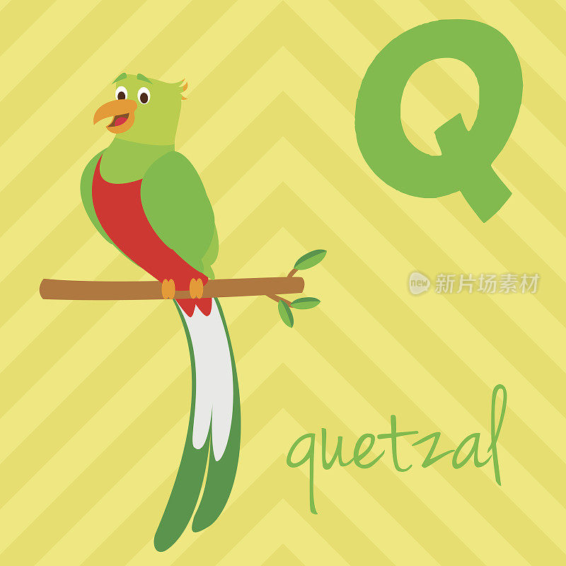 卡通动物园字母表与动物。西班牙名字:Q是Quetzal