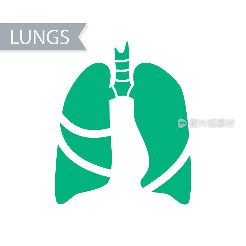 载体剪影人体器官-肺与气管的医学插图。诊所、医院的符号模板。象征哮喘、肺结核、肺炎。呼吸系统保健。