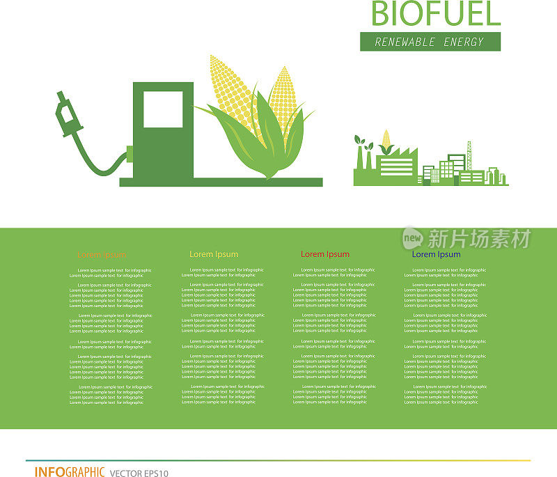 玉米乙醇生物燃料矢量图标。可替代的环保燃料。