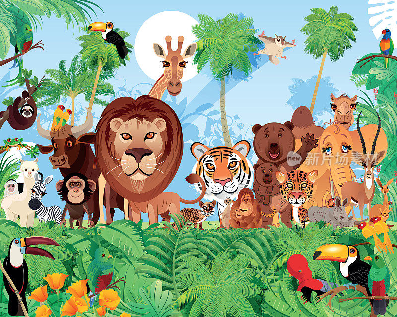 热带森林和可爱的动物