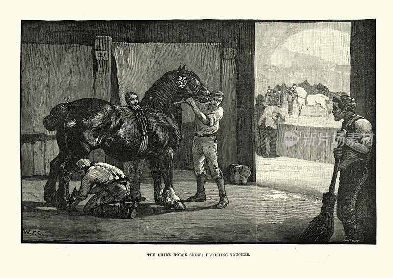 维多利亚郡马展，最后一笔，19世纪