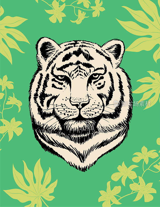 绿色的老虎和热带的叶子在彩色的背景