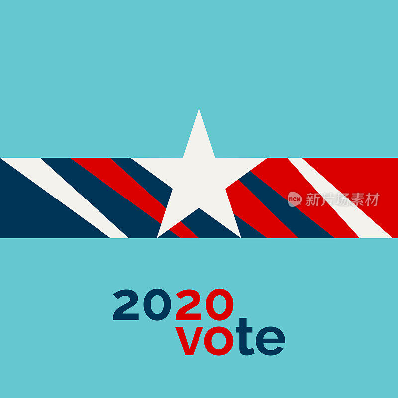 美国2020年大选设计元素