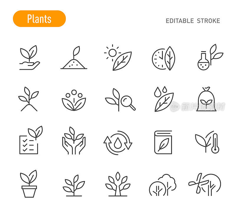 植物图标-线系列-可编辑的笔触