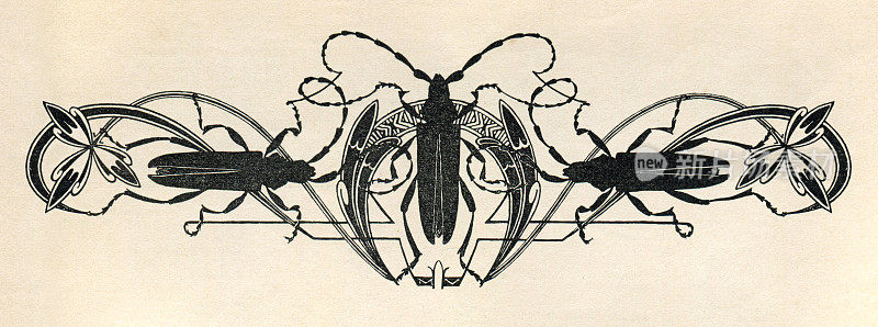 昆虫装饰新艺术1897年