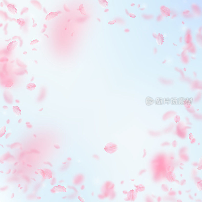 樱花花瓣飘落。浪漫的粉色花朵装饰。飞舞的花瓣在蓝天广场的背景。爱情,浪漫的概念。额外的婚礼邀请