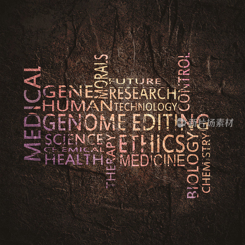 基因组编辑，词语云的调节和定位