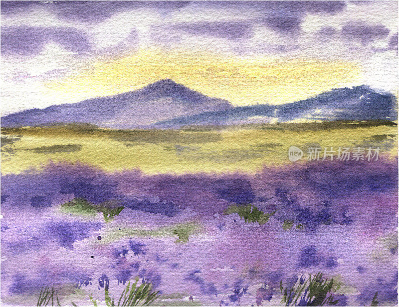 水彩薰衣草田，手绘法国普罗旺斯风景画。紫色的春天夏天的明信片，横幅