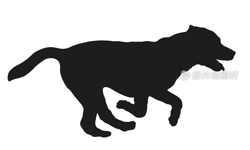 黑狗轮廓。奔跑和跳跃的拉布拉多寻回小狗。宠物的动物。孤立在白色背景上。