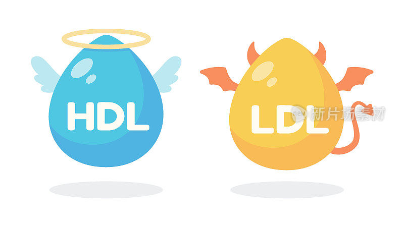 HDL和LDL胆固醇的图解。好的脂肪和坏的脂肪在体内积累。