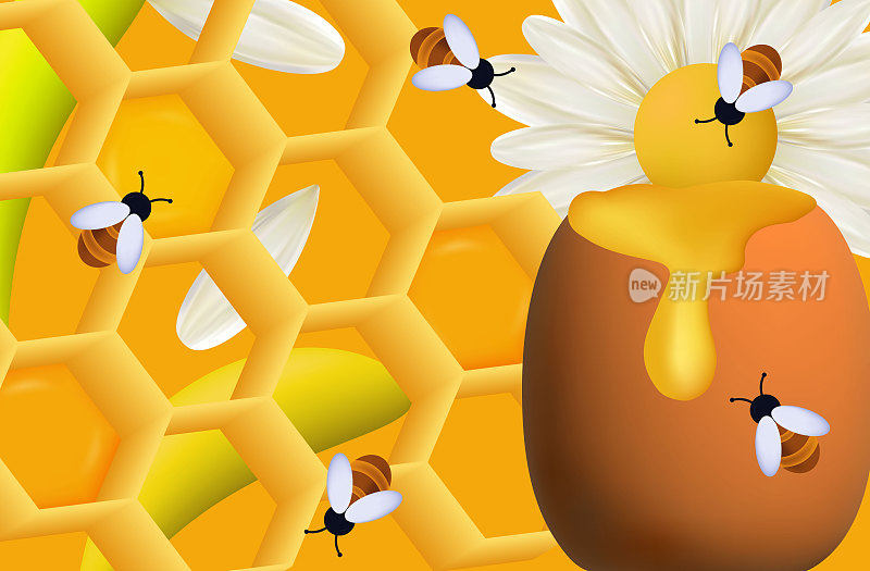 一群蜜蜂在蜂房里采蜜。矢量三维插图。昆虫为白色雏菊花授粉。草地上有植物，草，花盆里有蜂蜜，蜂房。环境的概念