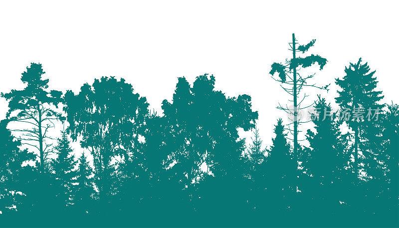 美丽的森林，冷杉，松树和不同的落叶树木的剪影。矢量插图。