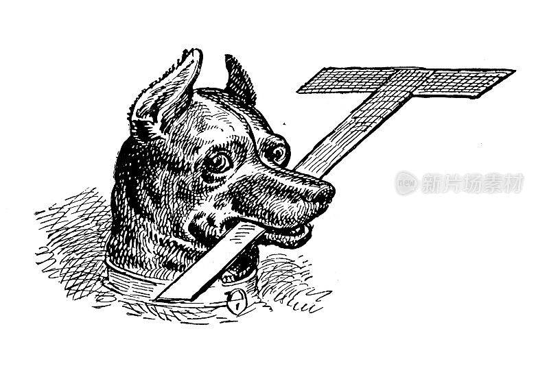 1889年的运动和消遣:狗咬字母T