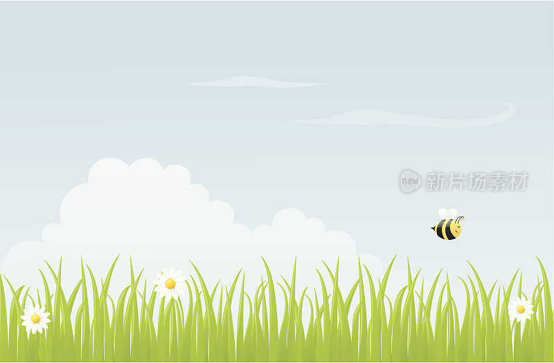 草地蜜蜂-包括。jpeg