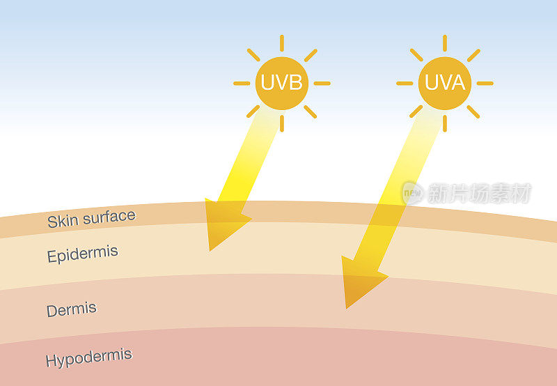 2种辐射类型在日光下与皮肤的区别。