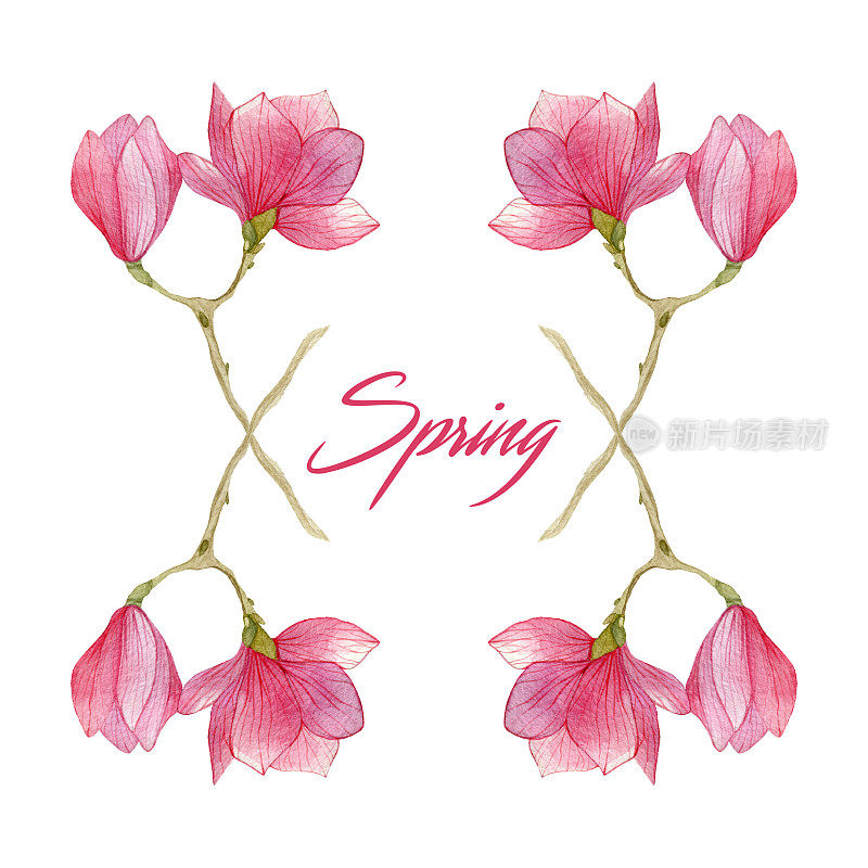 花开花春天插图与木兰枝在水彩。季节设计的元素。