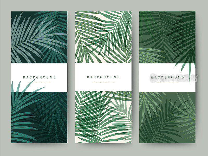 品牌包装棕榈椰竹树叶自然背景，图标横幅代金券，春夏热带，矢量插图