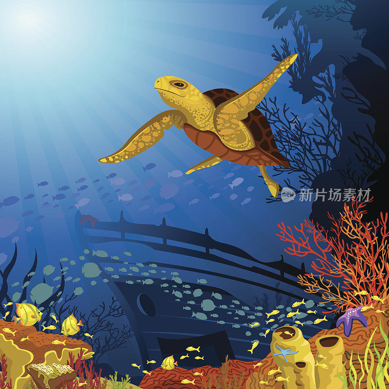 有黄色海龟的彩色珊瑚礁