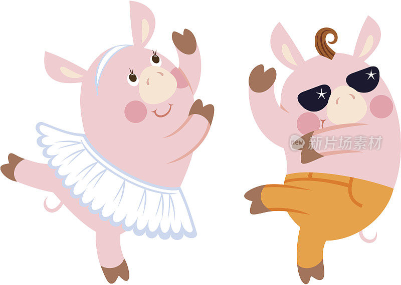 跳舞的猪