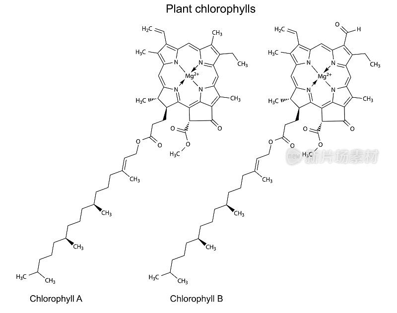 植物色素叶绿素的结构化学配方