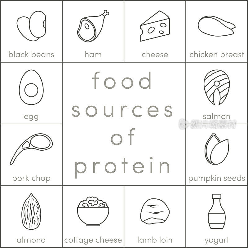 蛋白质的食物来源