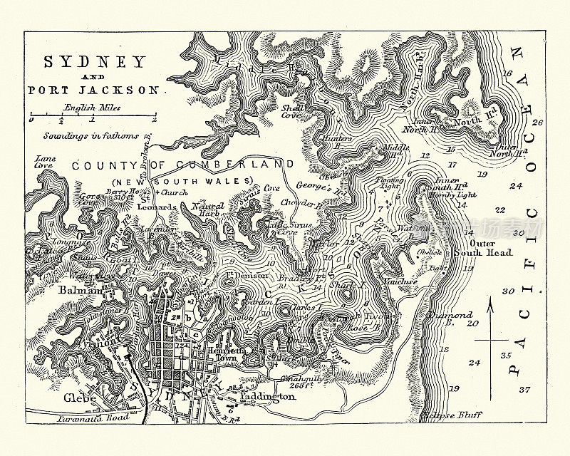 19世纪澳大利亚悉尼和杰克逊港地图