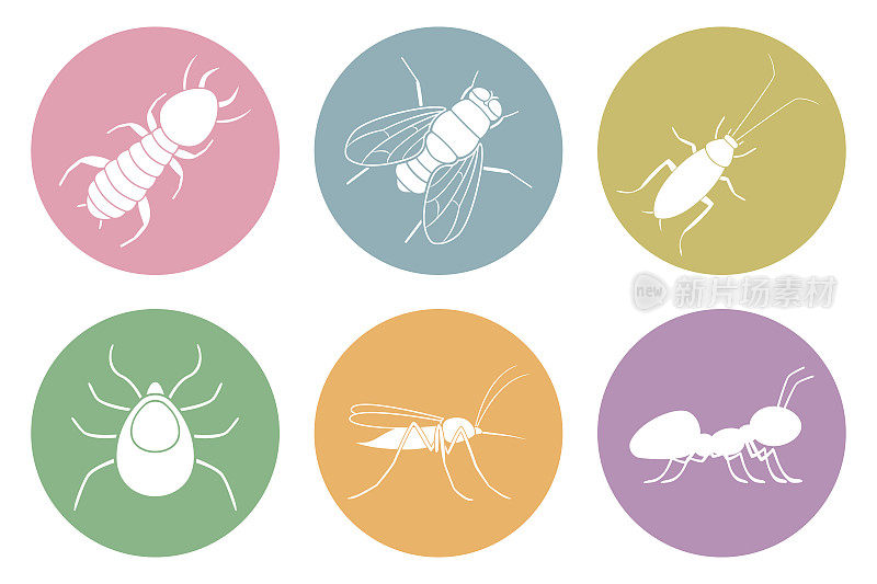 一套家庭害虫图标。蟑螂，白蚁，蚊子，苍蝇，蚂蚁和蜱。向量