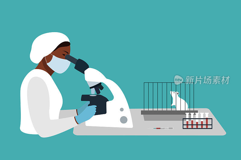 实验室研究疫苗。专业的实验室工作人员穿着制服的黑人妇女透过显微镜，一只笼子里的小白鼠和桌子上的试管。矢量插图上的蓝色背景