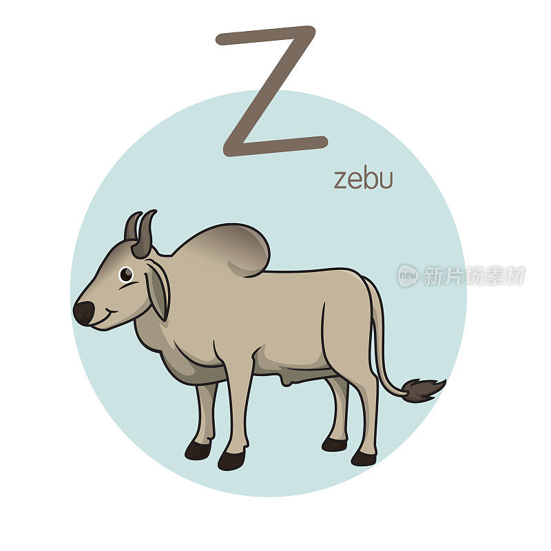 矢量图瘤牛与字母字母Z大写或大写字母儿童学习实践ABC