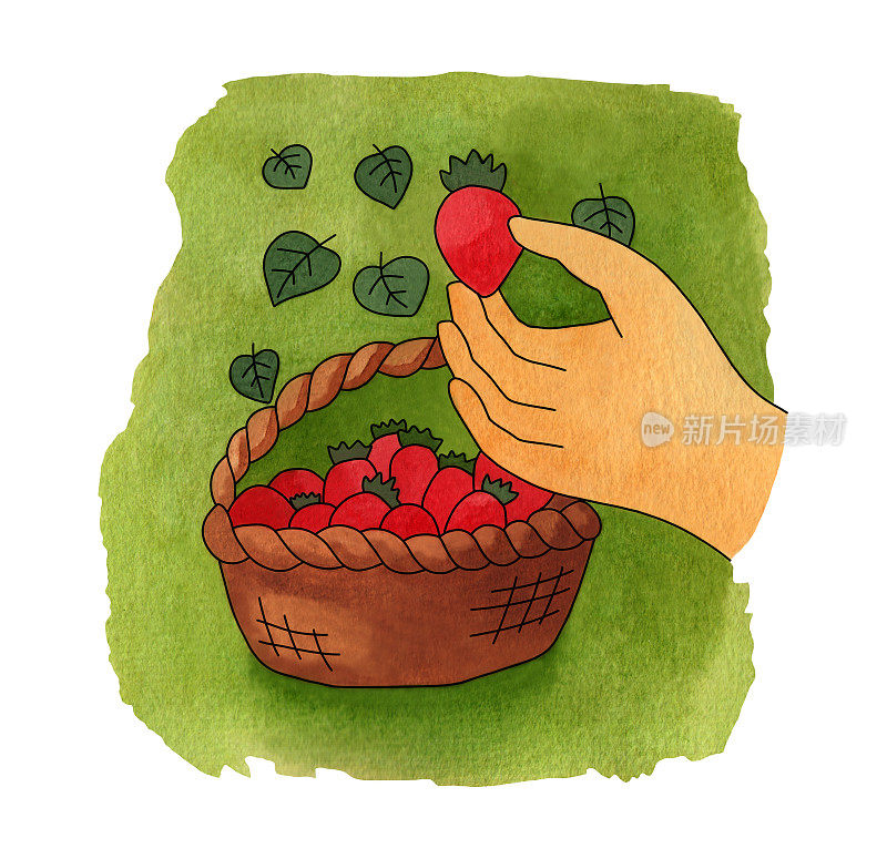 手里捧着一个熟草莓。附近有一个装满草莓的柳条篮子